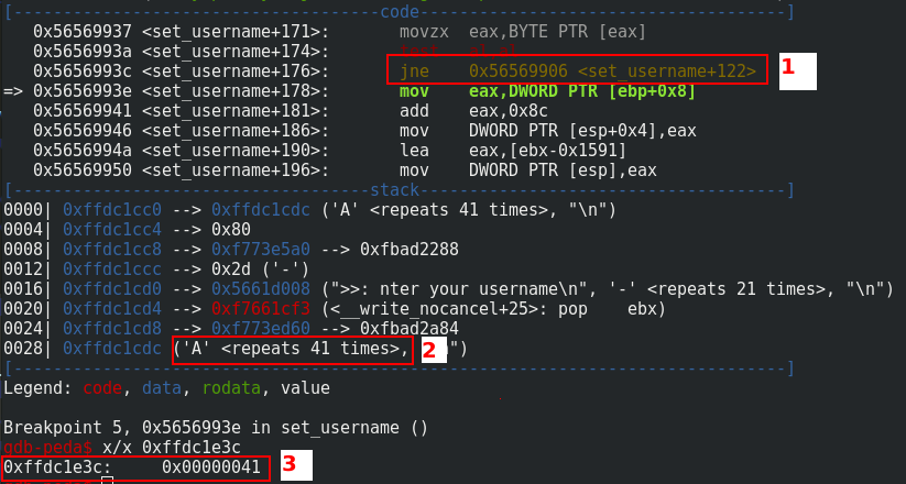 Overwrite of msglen