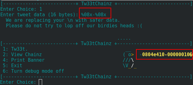 Format String vulnerability